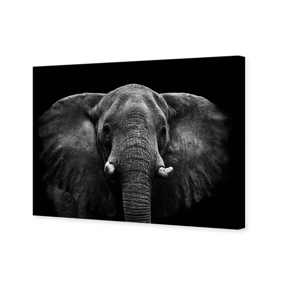 Regal Elephant Canvas Art