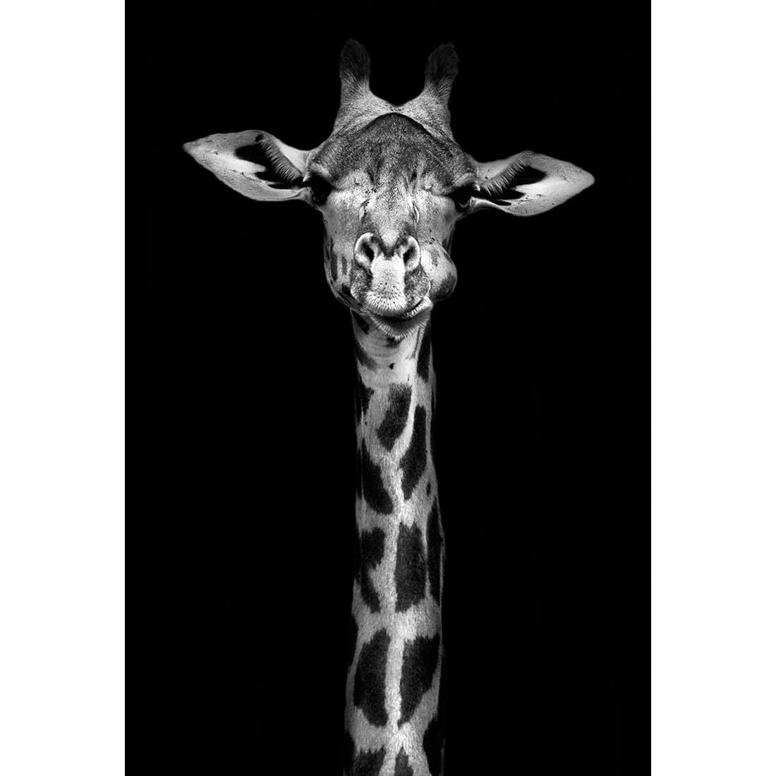 Thornycroft Giraffe Acrylic Print Art