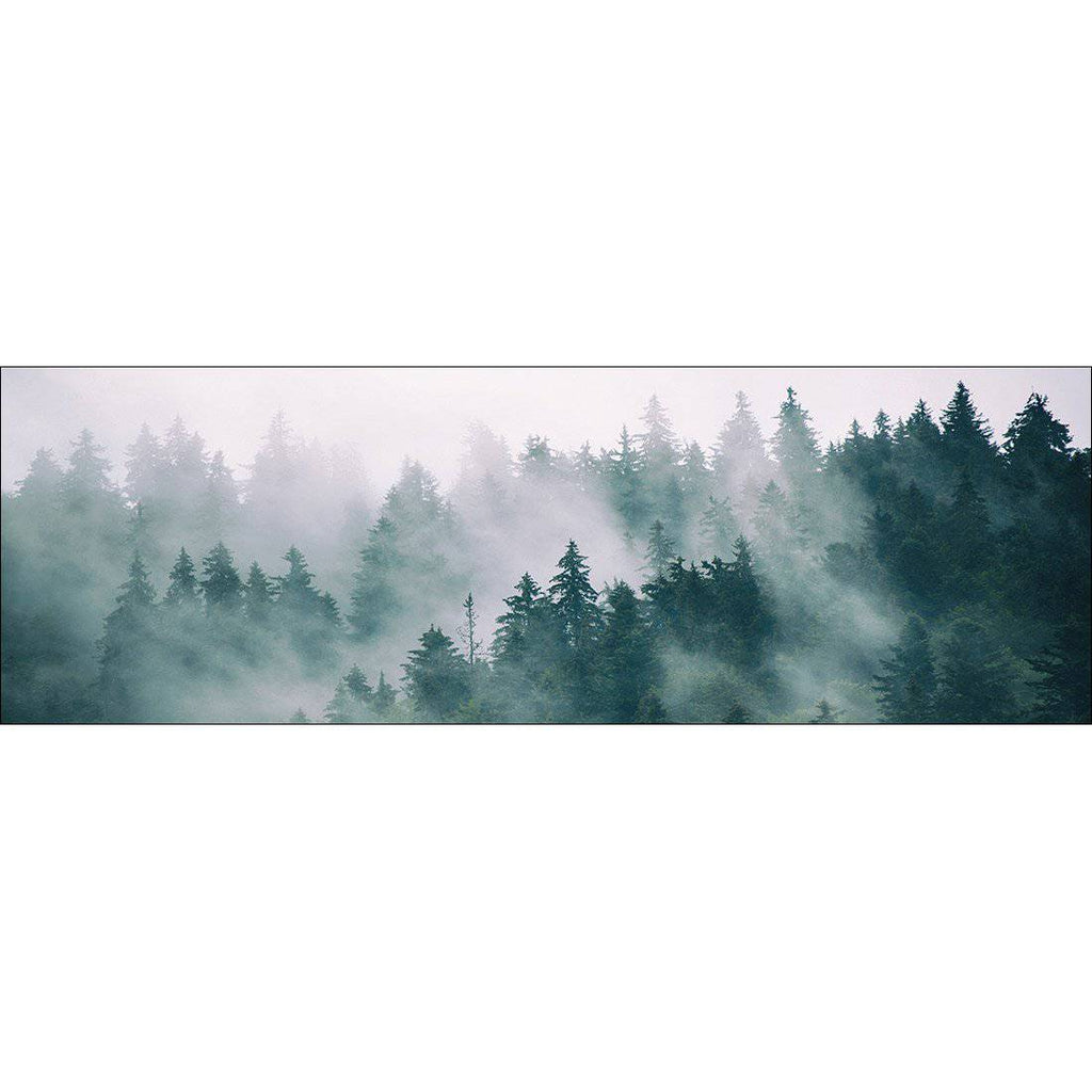 Silence of the Alps Canvas Art