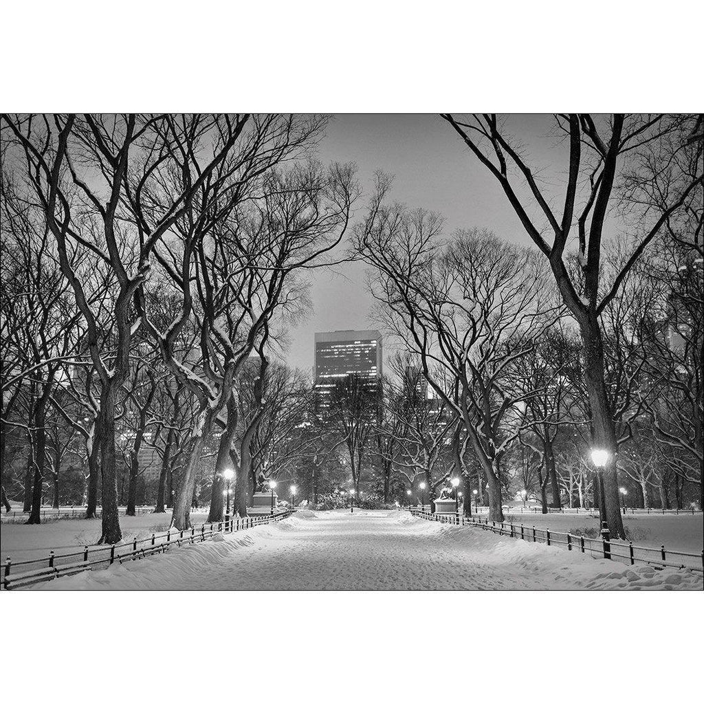 Winter in Central Park B&W Canvas Art