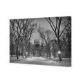 Winter in Central Park B&W Canvas Art