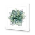 Succulent Spiral, Square Acrylic Print Art