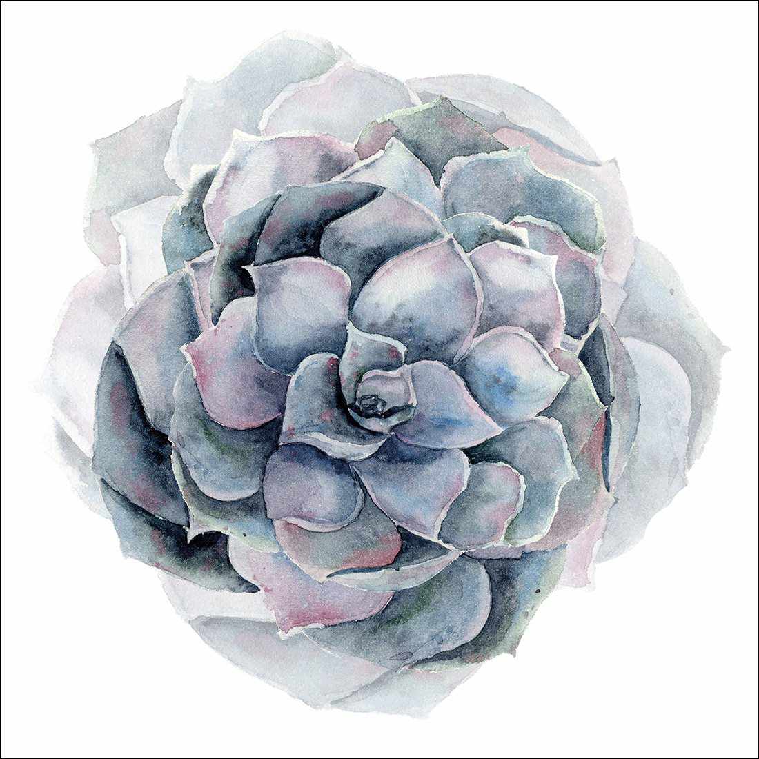 Succulent Sphere Canvas Art