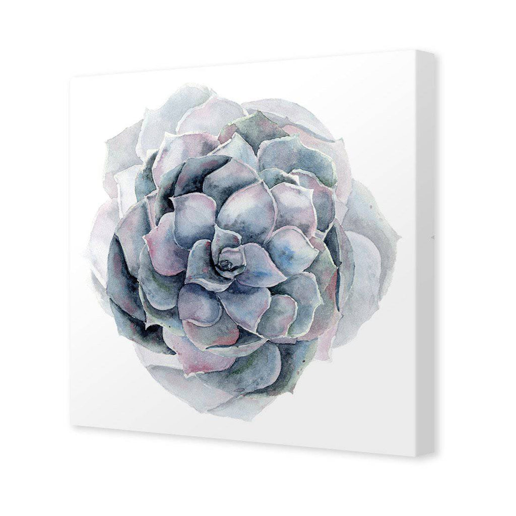 Succulent Sphere Canvas Art