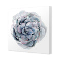 Succulent Sphere Canvas Art