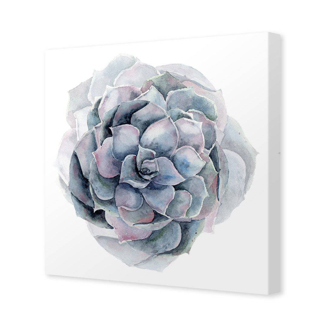 Succulent Sphere Canvas Art