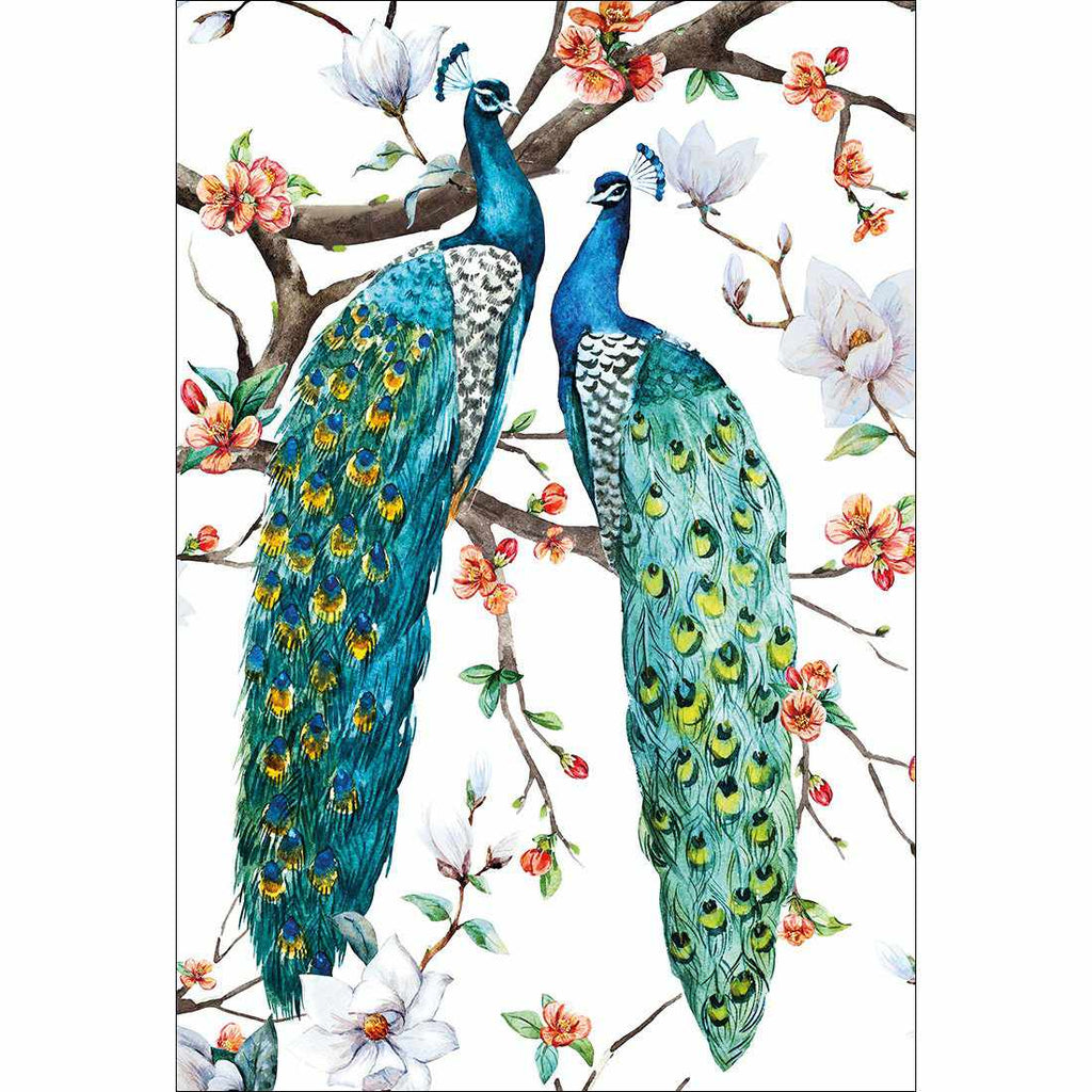 Peacock Magic Canvas Art