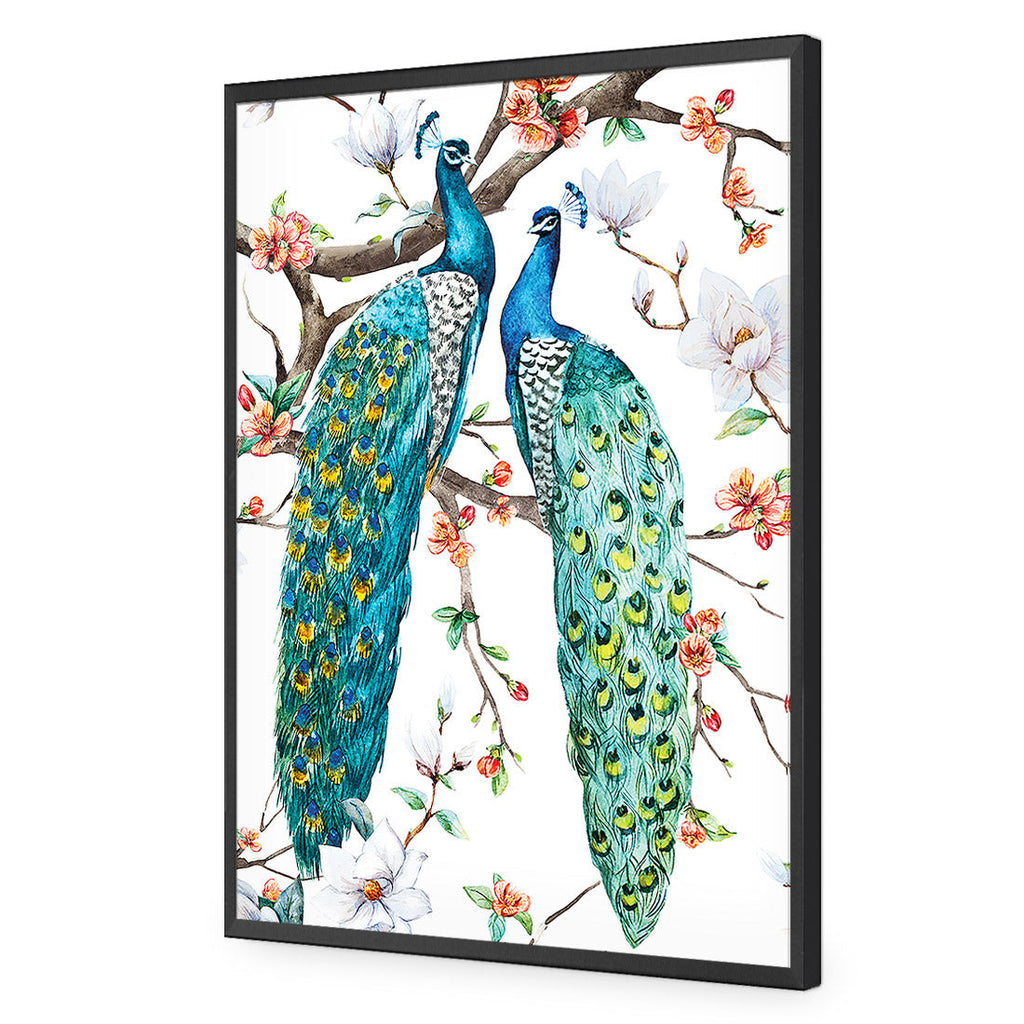 Peacock Magic Acrylic Print Art