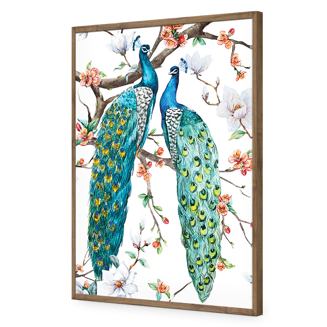 Peacock Magic Acrylic Print Art