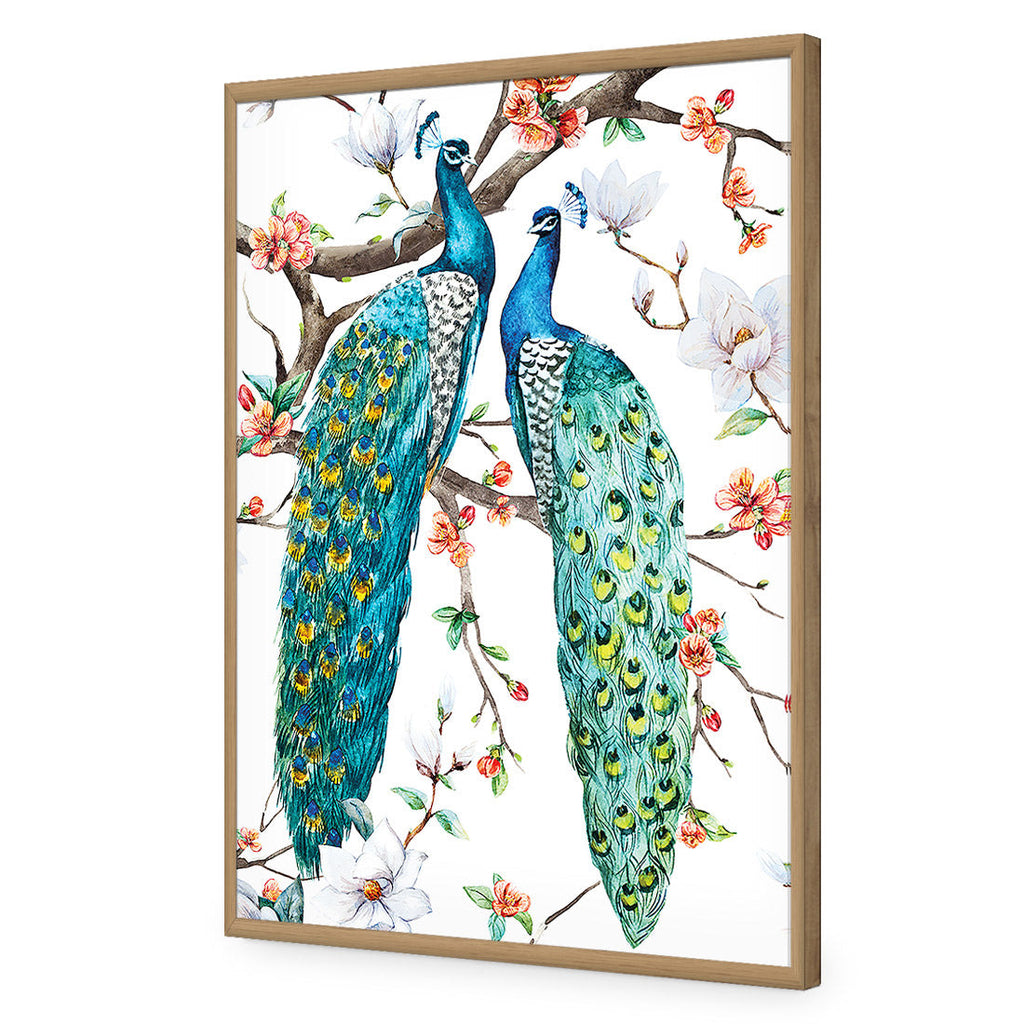 Peacock Magic Acrylic Print Art