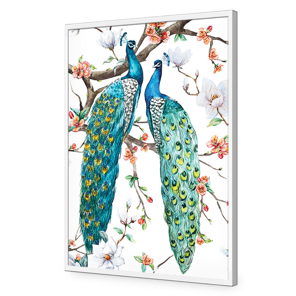 Peacock Magic Acrylic Print Art
