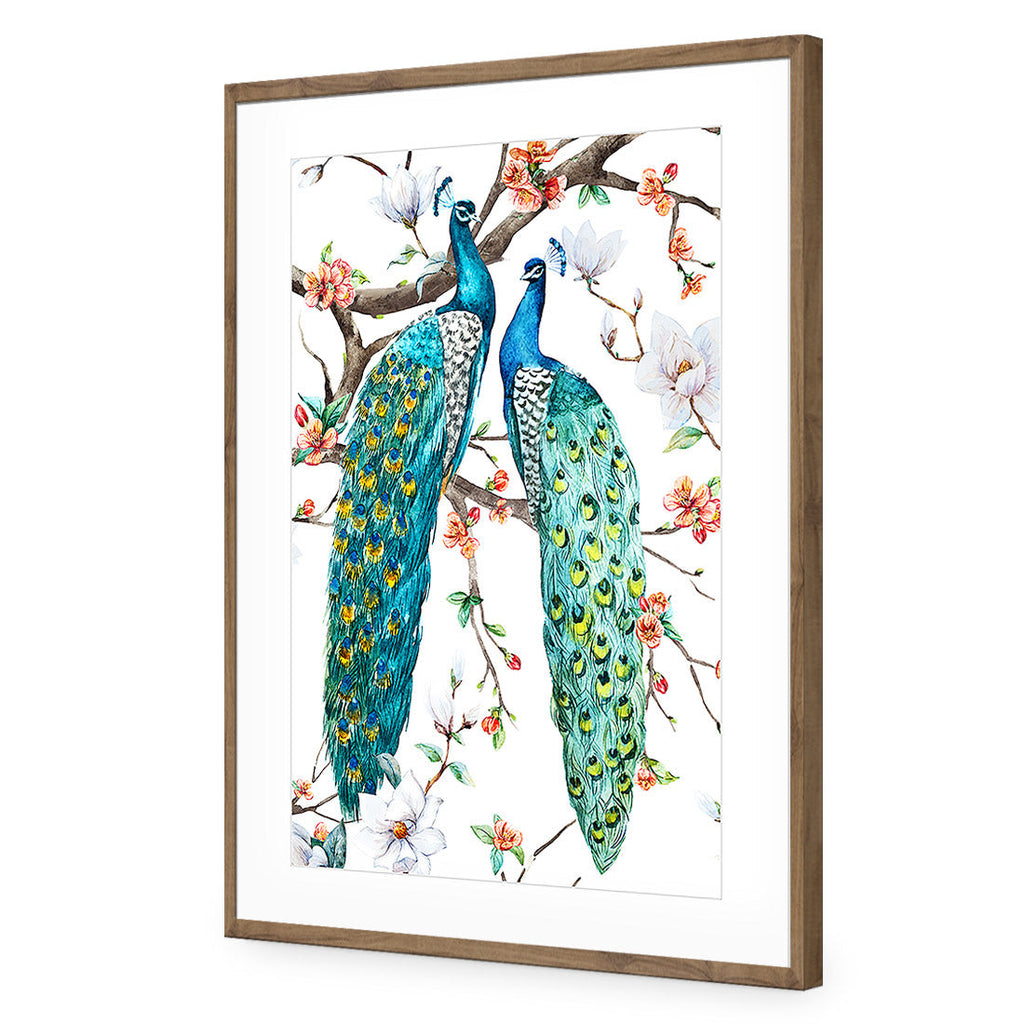 Peacock Magic Acrylic Print Art
