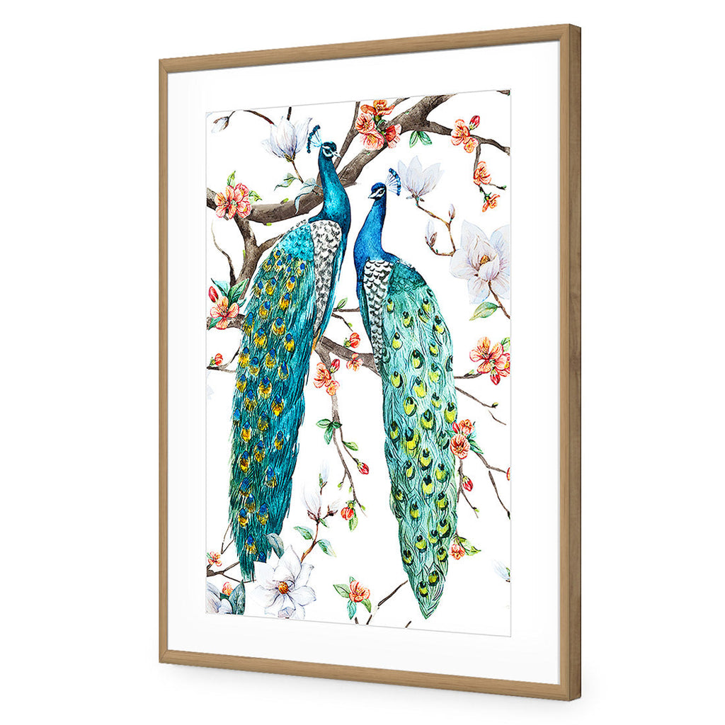 Peacock Magic Acrylic Print Art