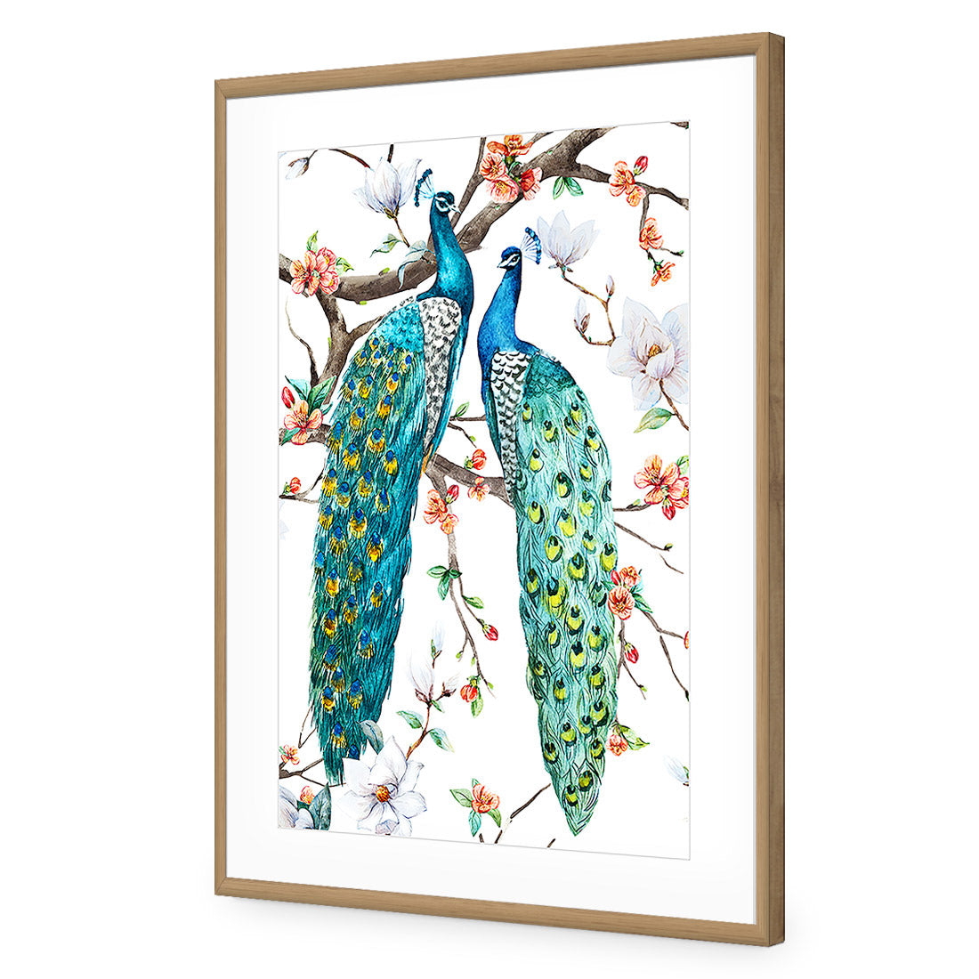 Peacock Magic Acrylic Print Art