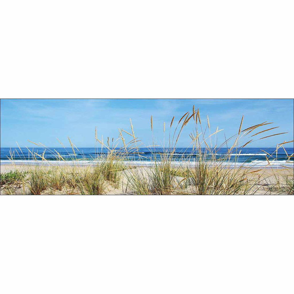 Portuguese Dunes Canvas Art