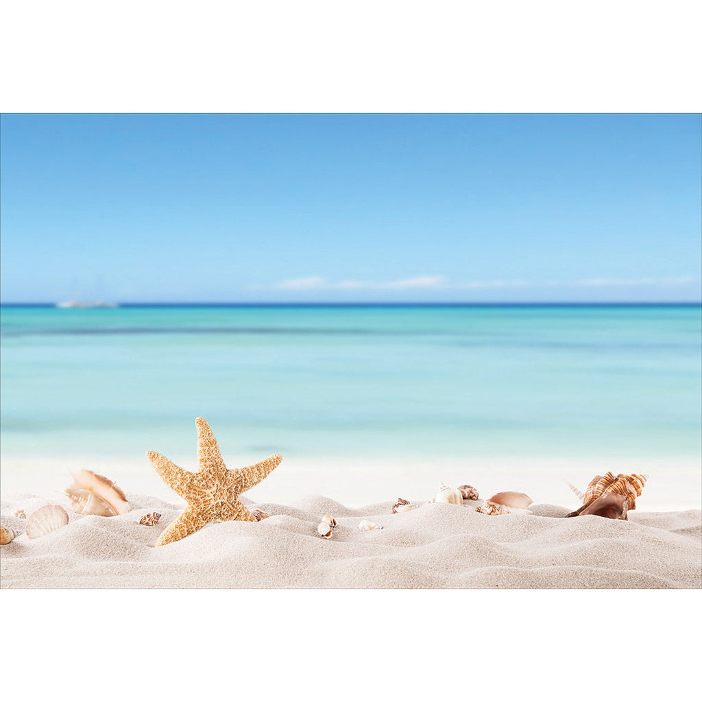 Starfish and Friends Acrylic Print Art