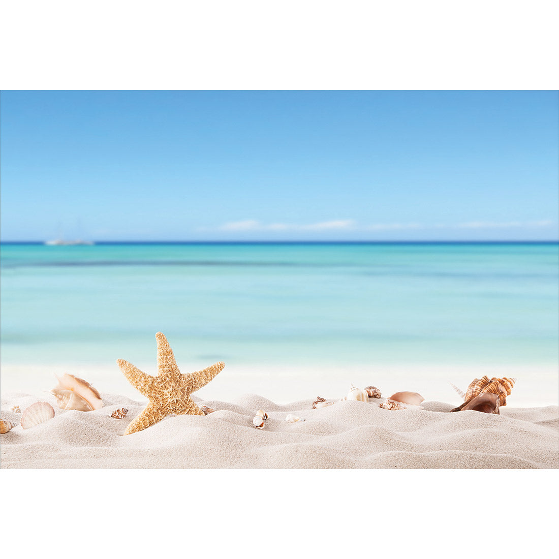 Starfish and Friends Acrylic Print Art