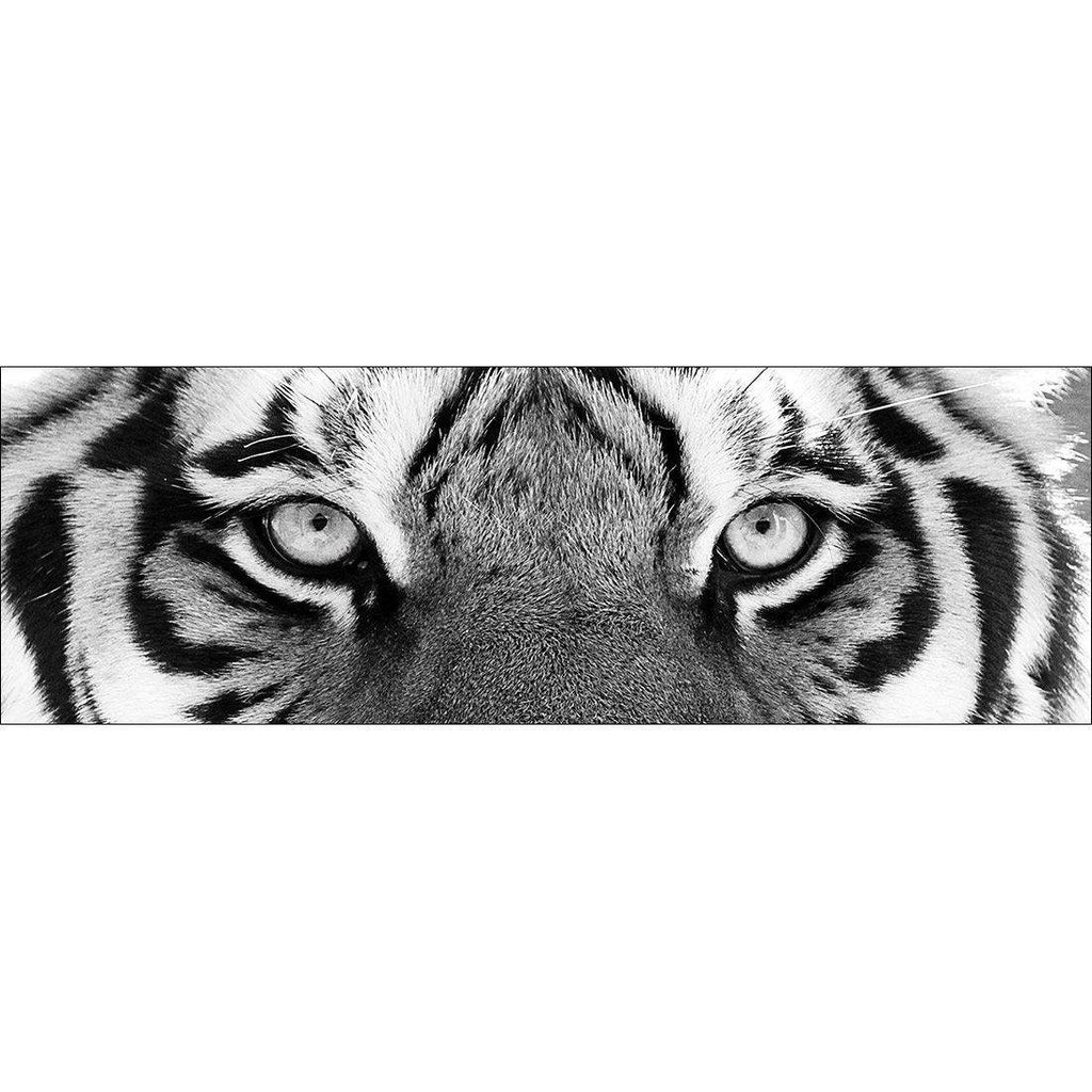 Tiger Eyes, B&W Canvas Art