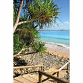 Sunshine Coast Steps