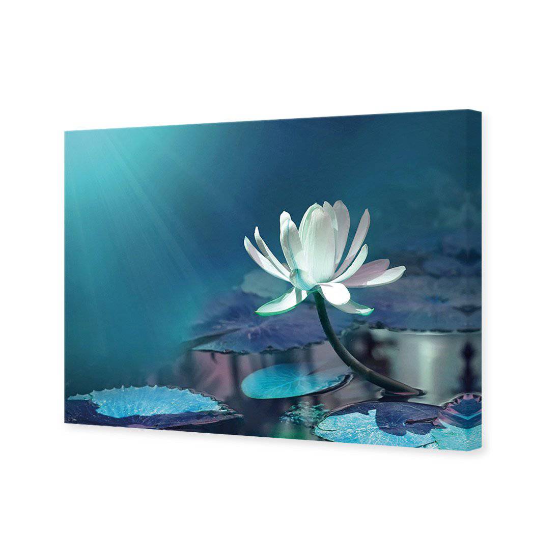 Water Lily, Blue Canvas Art