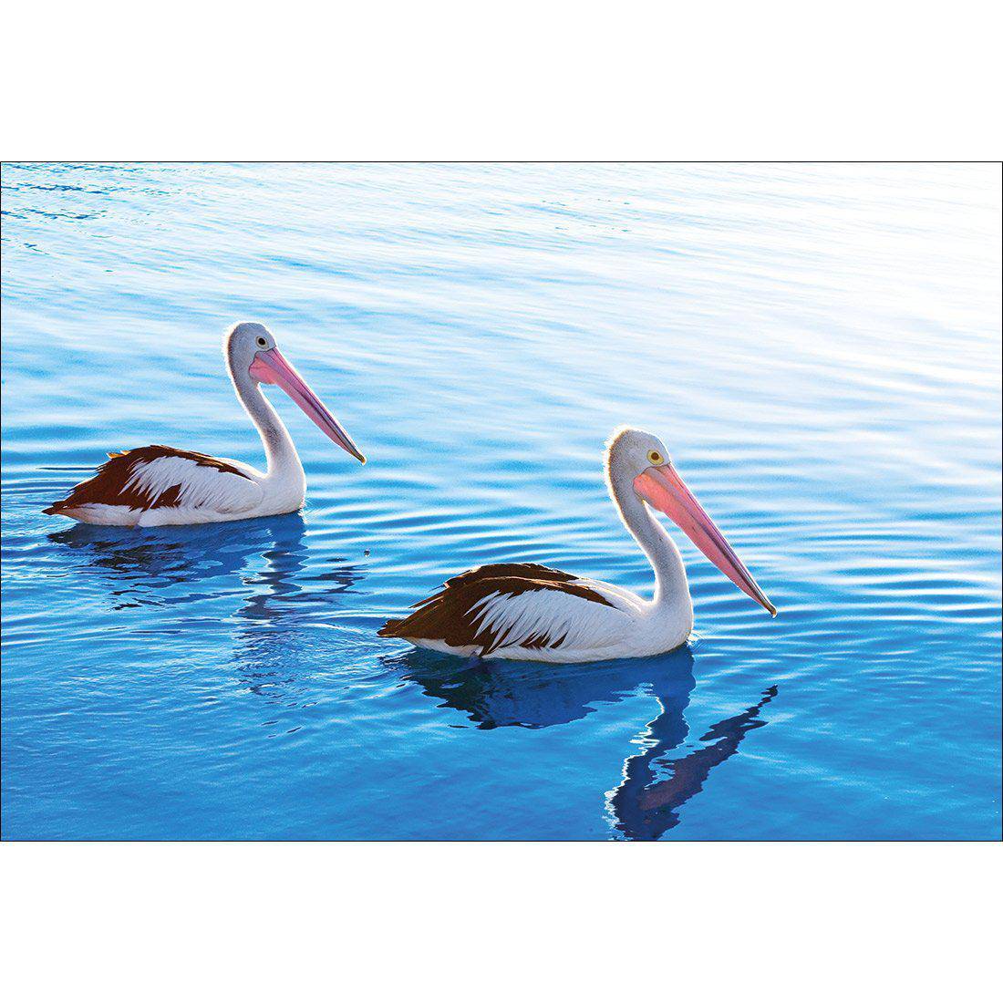Pelican Pair Canvas Art