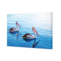 Pelican Pair Canvas Art