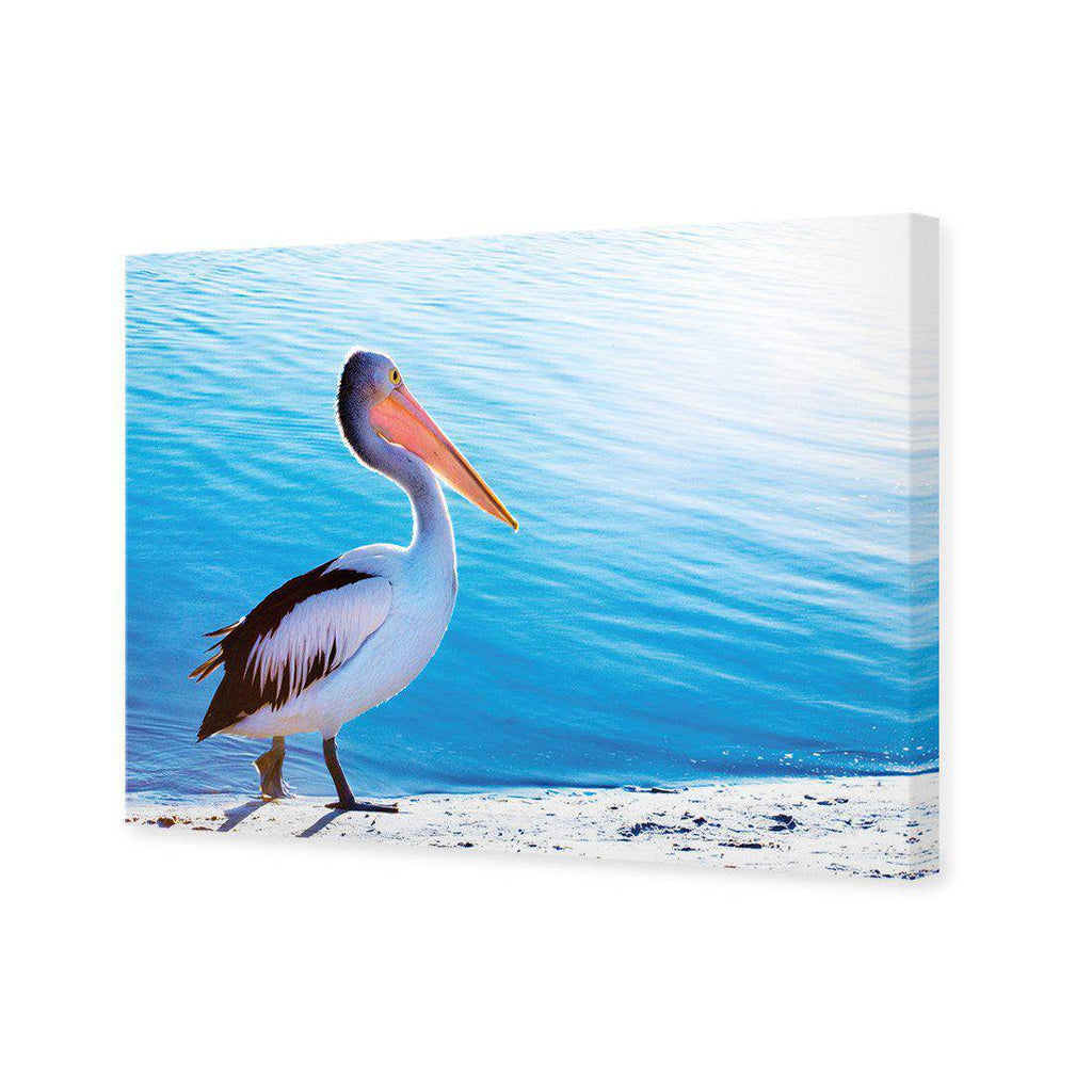 Pelican Canvas Art