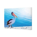 Pelican Canvas Art