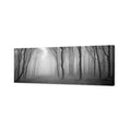 Mysterious Trees, Black and White (long)