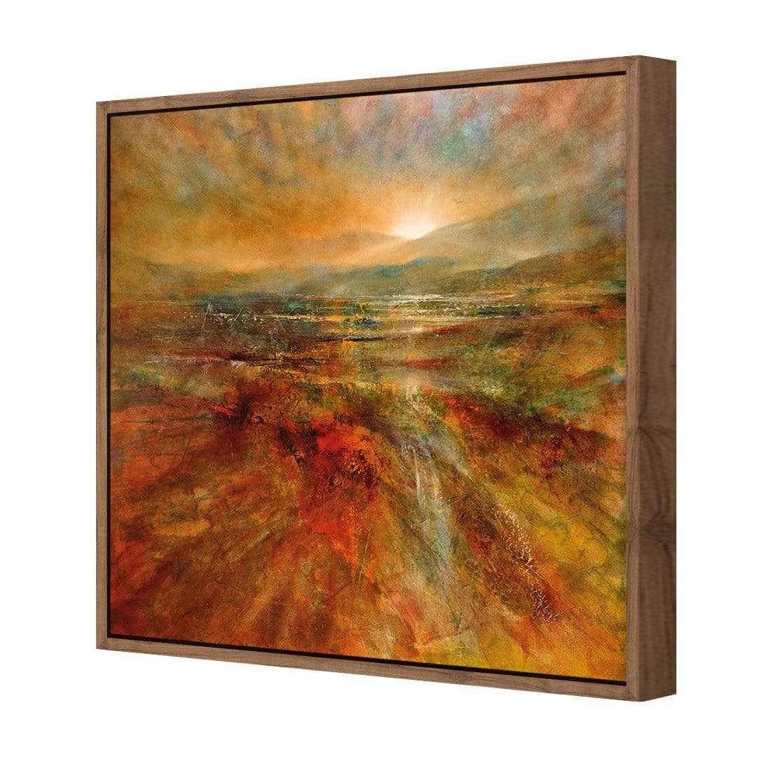 First Light by Annette Schmucker