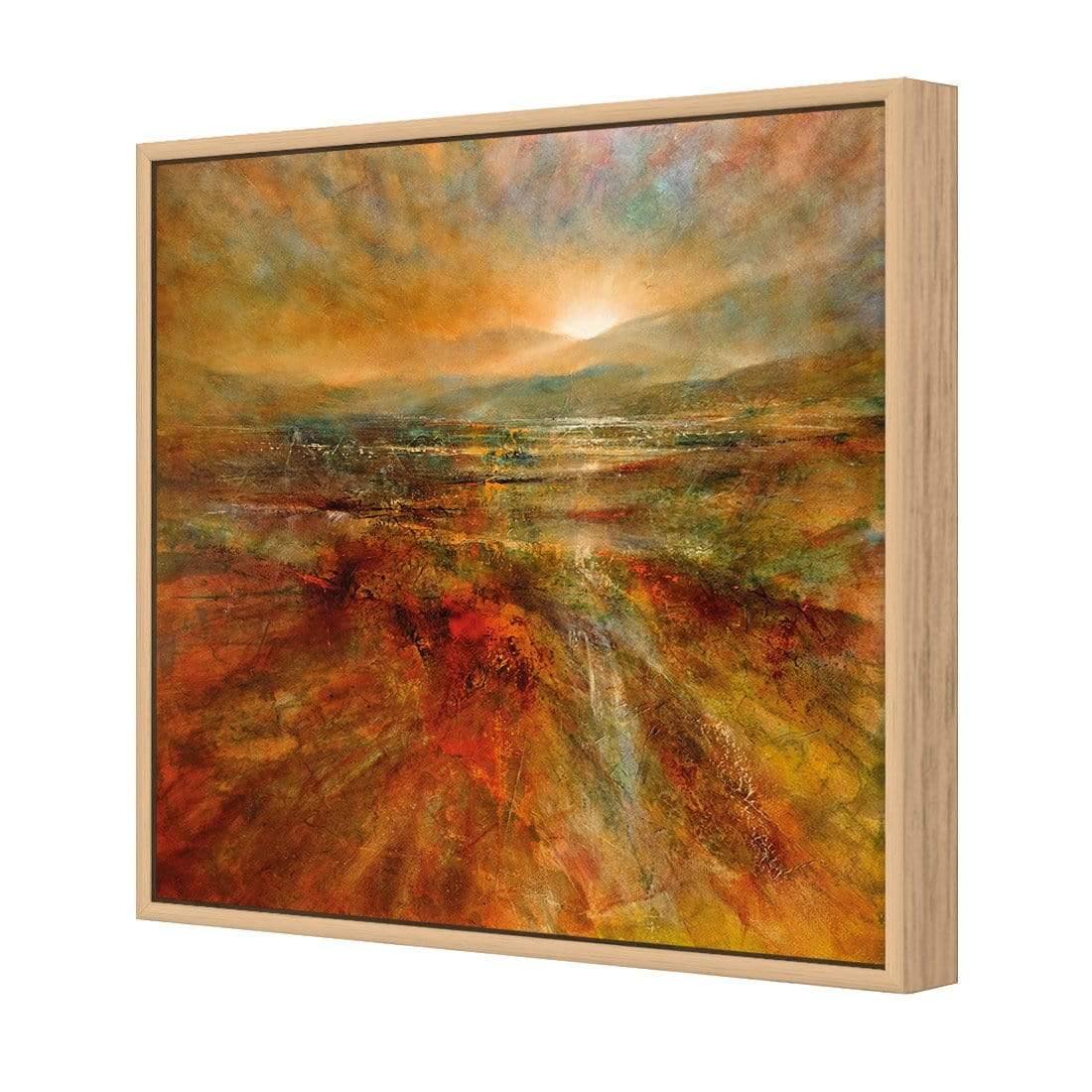 First Light by Annette Schmucker