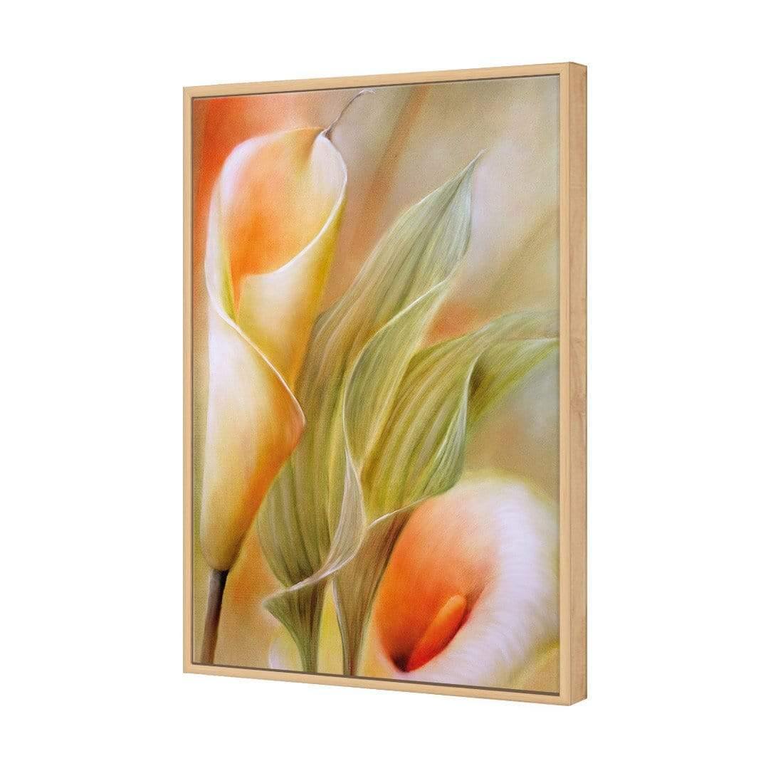 Calla by Annette Schmucker