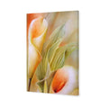 Calla by Annette Schmucker