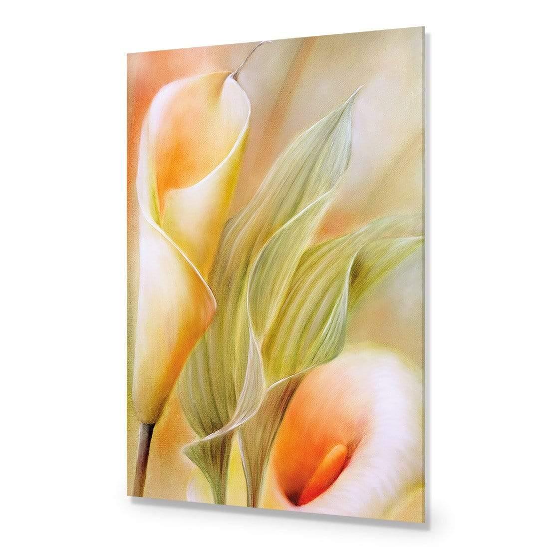 Calla by Annette Schmucker