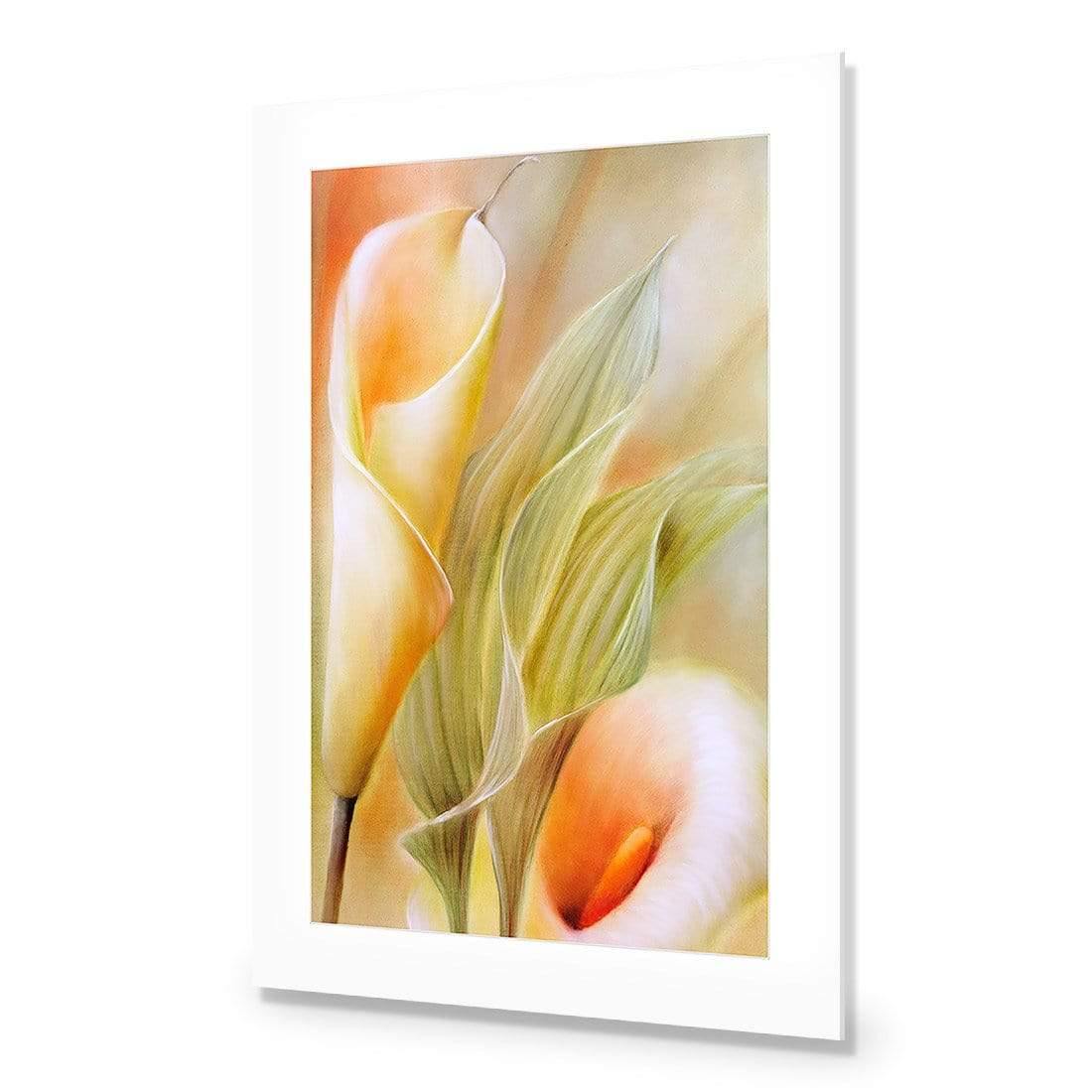 Calla by Annette Schmucker