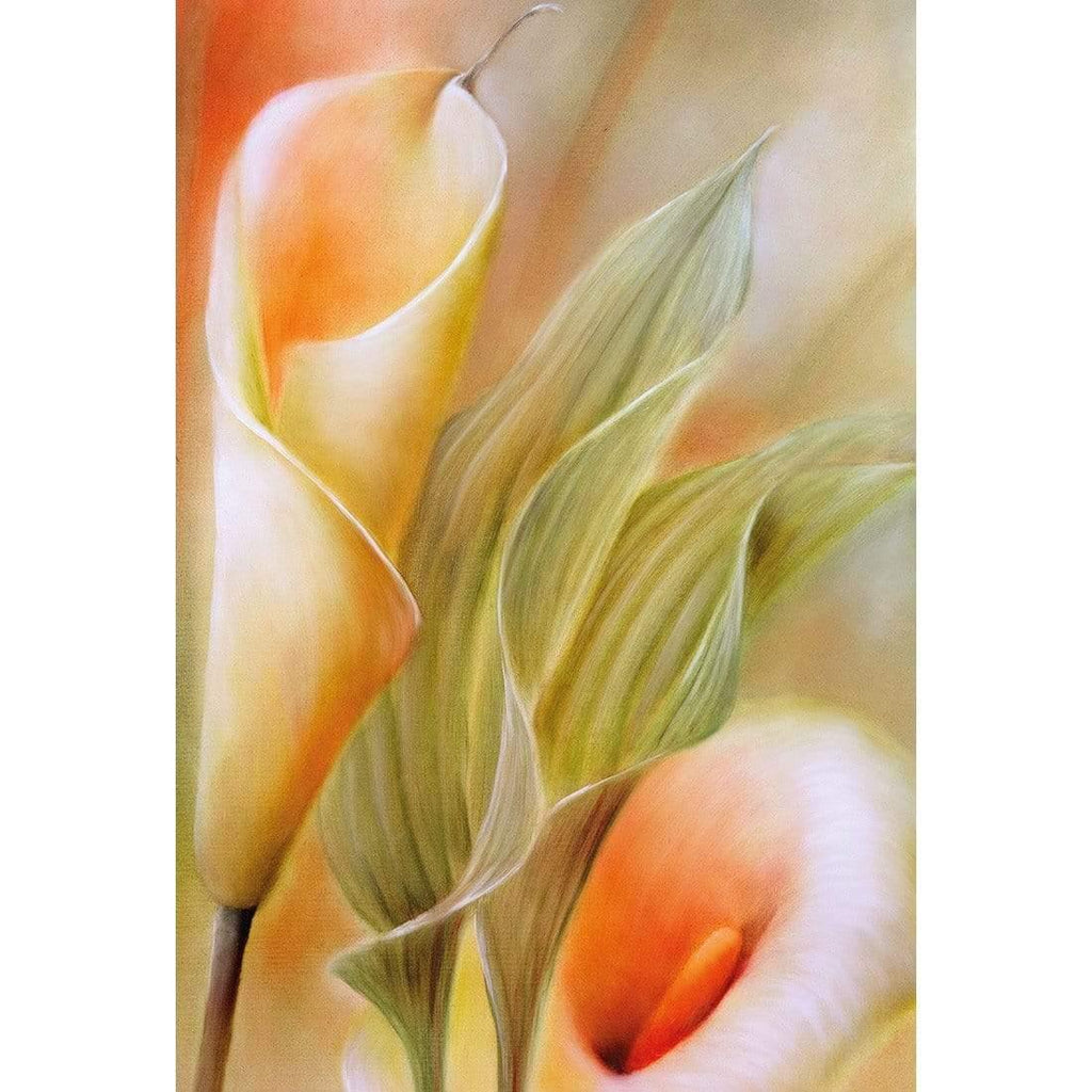 Calla by Annette Schmucker