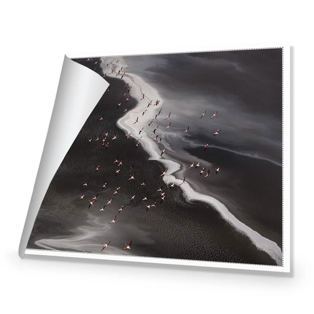 Flamingo's Paradise - Lake Natron