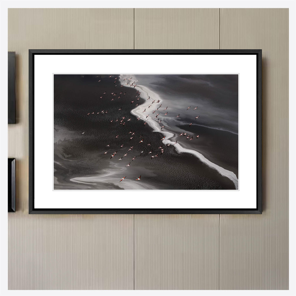 Flamingo's Paradise - Lake Natron
