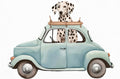 Dog in Car