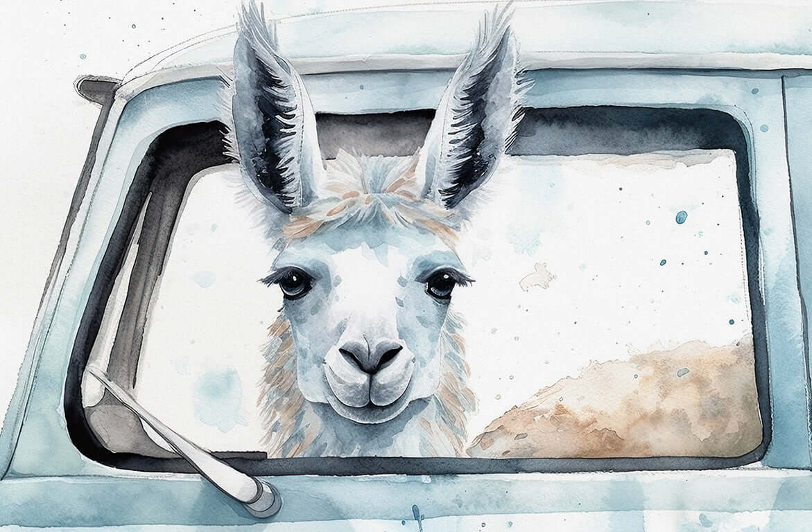 Llama in Car