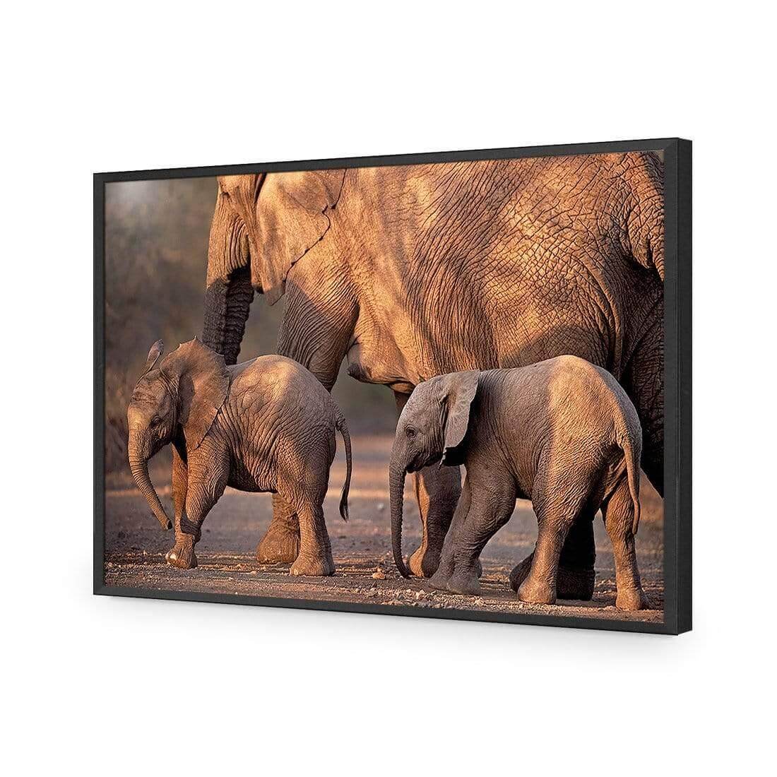 African Elephants Crossing Road