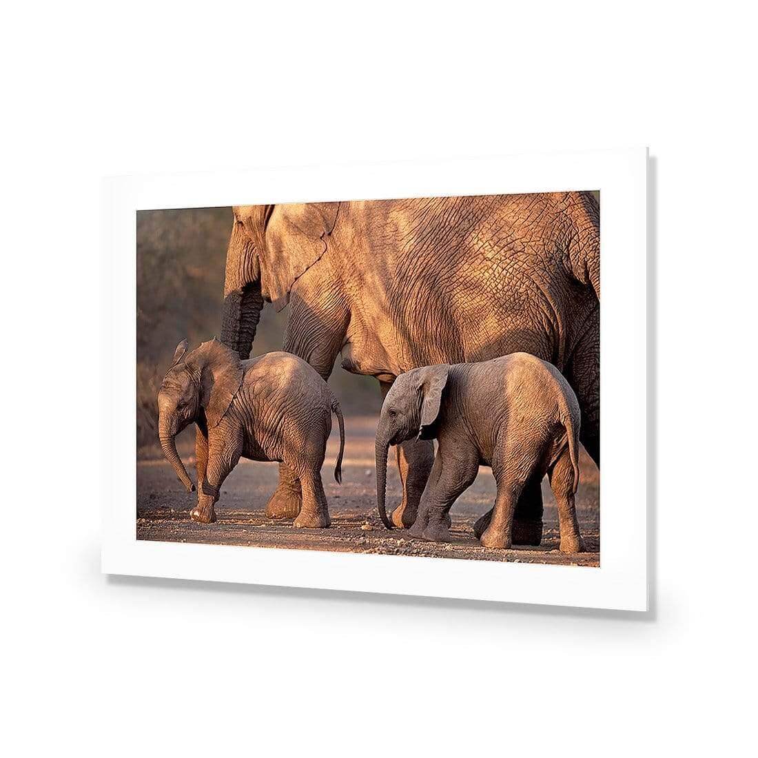 African Elephants Crossing Road