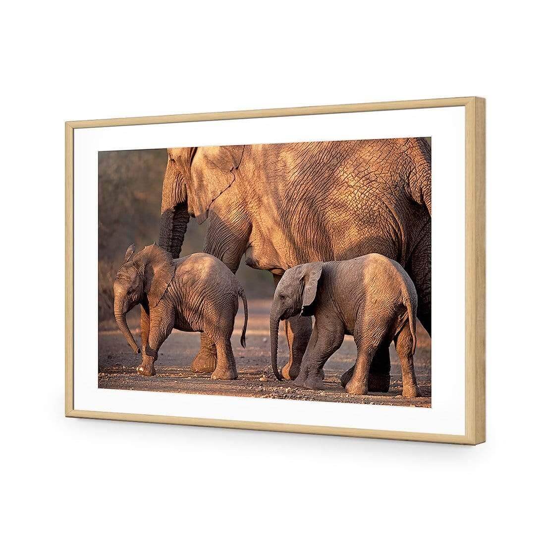 African Elephants Crossing Road