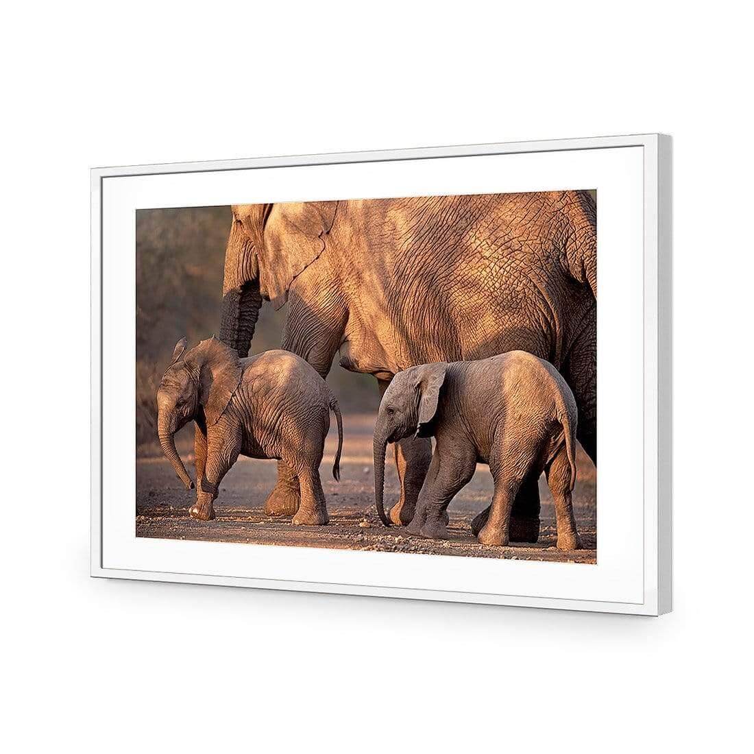 African Elephants Crossing Road