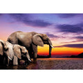 African Savannah Elephants (Rectangle)