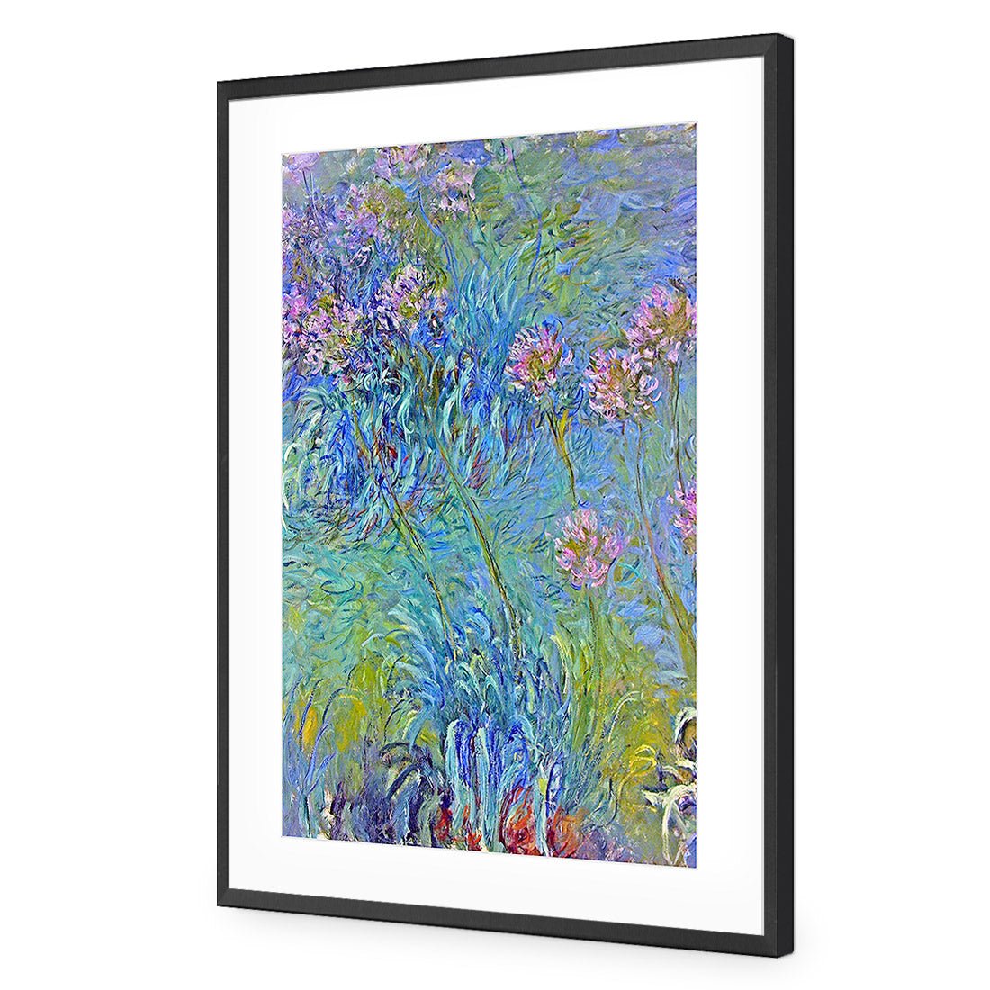 Agapanthus by Monet Acrylic Print Art