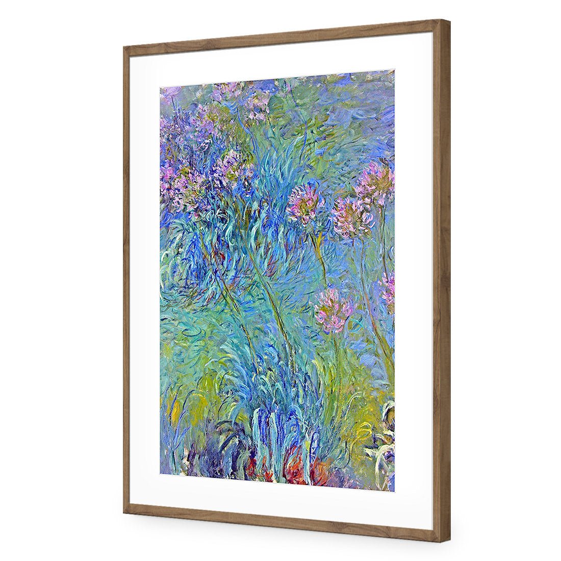 Agapanthus by Monet Acrylic Print Art
