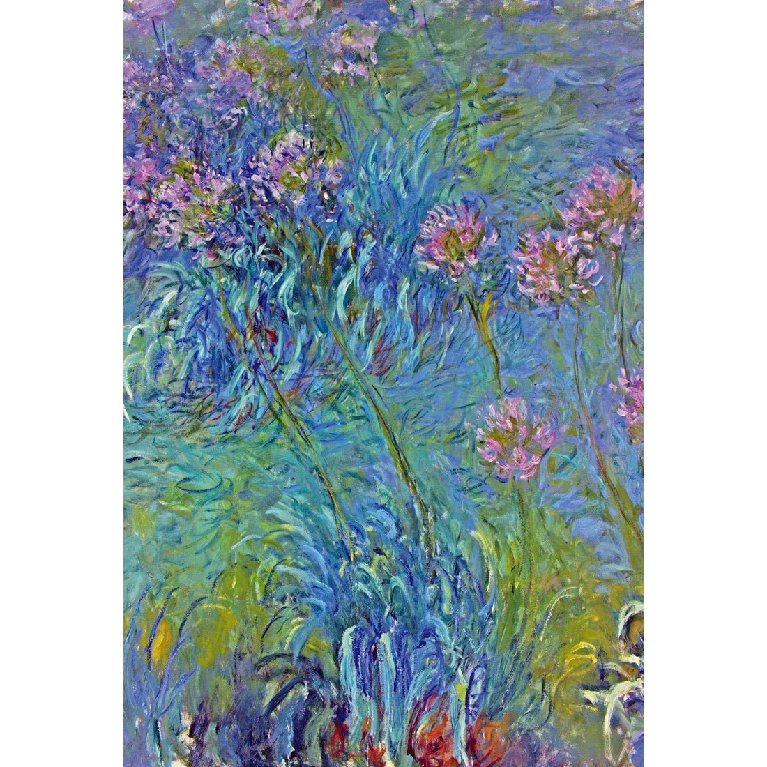 Agapanthus by Monet Acrylic Print Art