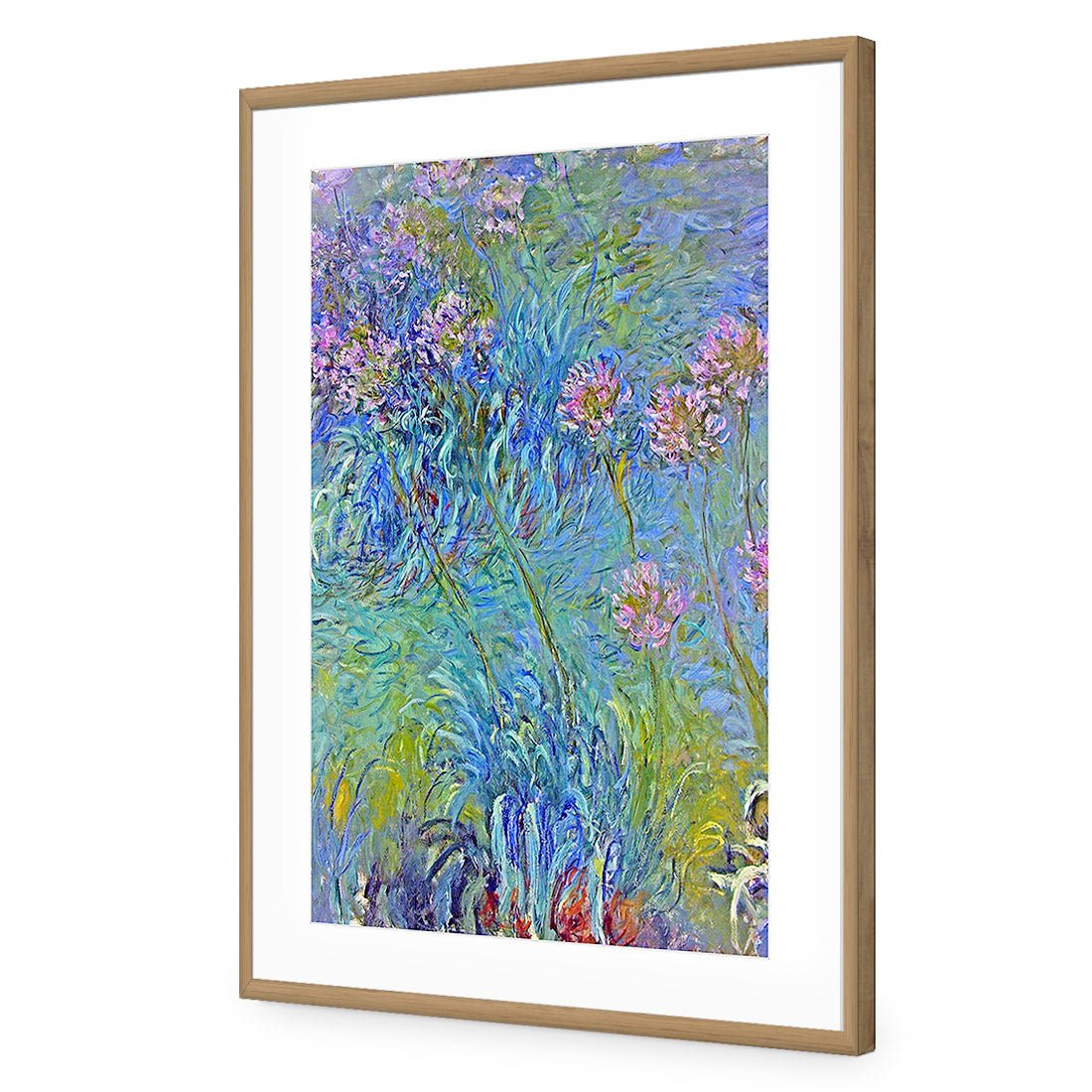 Agapanthus by Monet Acrylic Print Art
