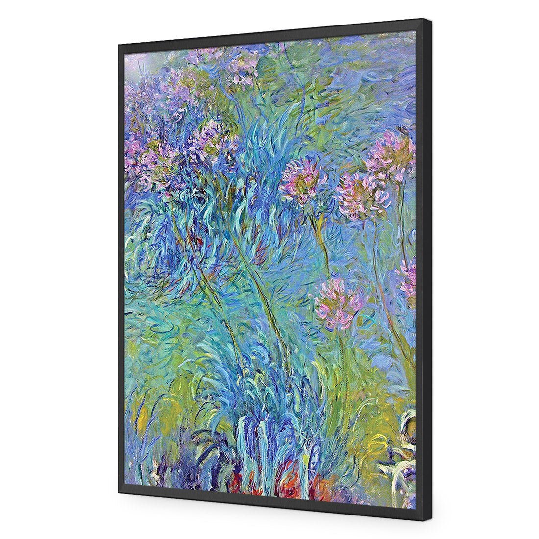 Agapanthus by Monet Acrylic Print Art